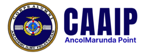 CAAIP header logo